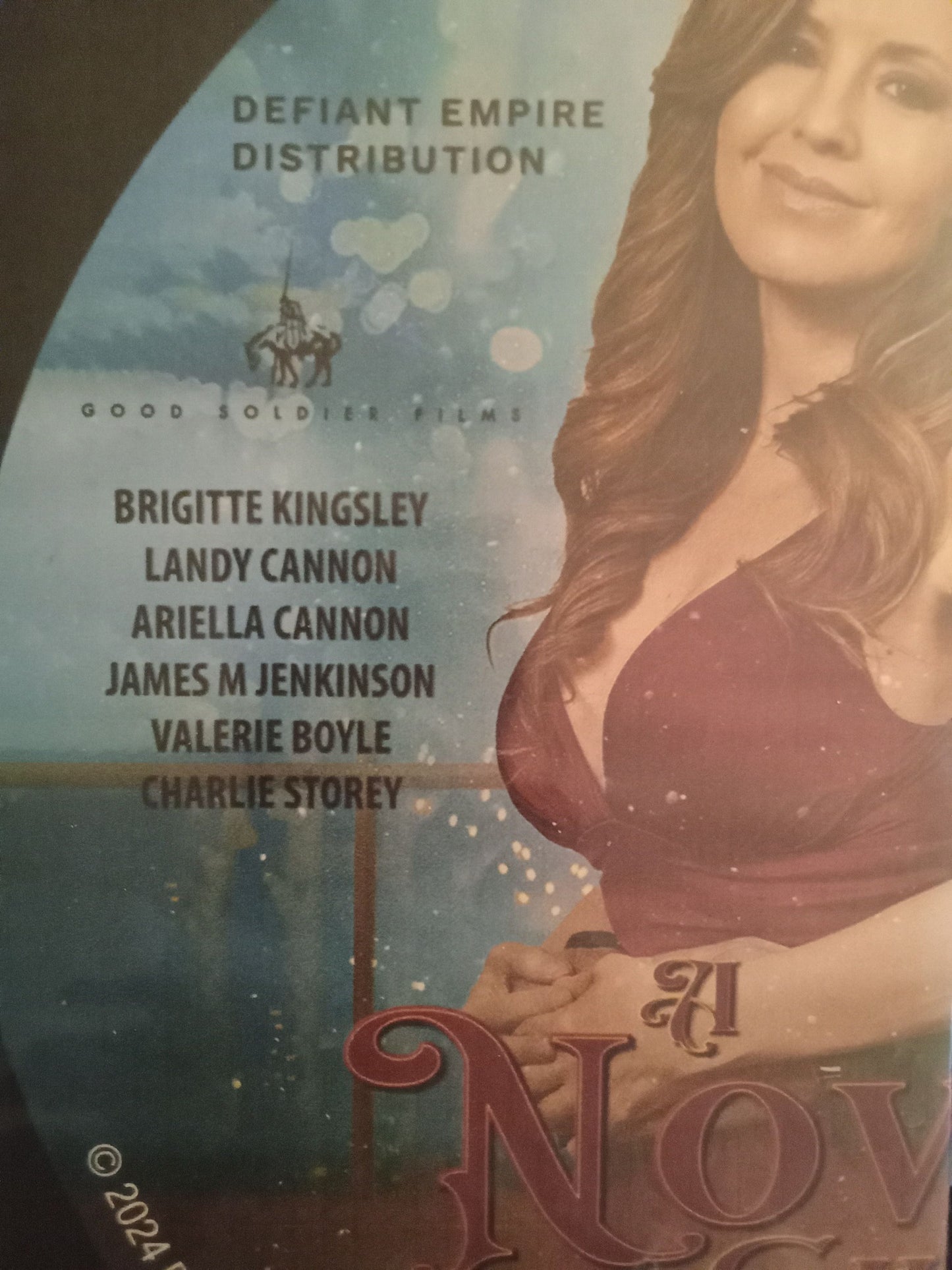 A Novel Christmas (2024) DVD with Brigette Kingsley in a DVD Case with the artwork