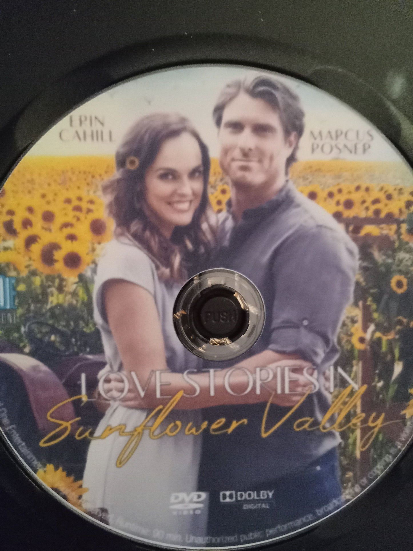 Love Stories in Sunflower Valley (2021) DVD with Erin Cahill & Marcus Rosner