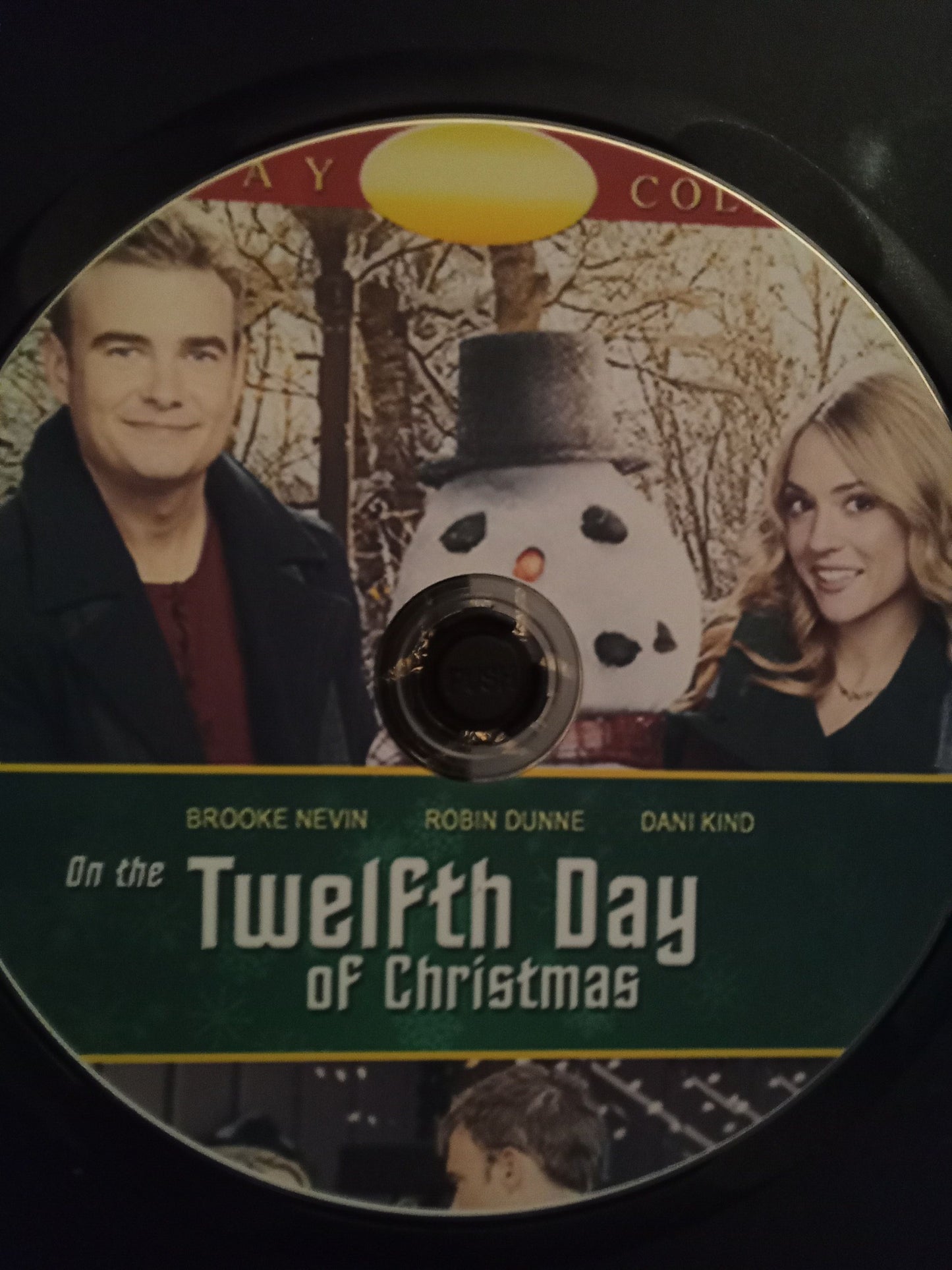 On the Twelfth Day of Christmas (2015) DVD with Brooke Nevin & Robin Dunne