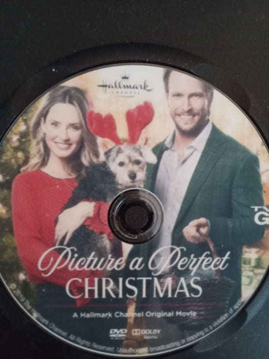 Picture a Perfect Christmas (2019) DVD with Merritt Patterson