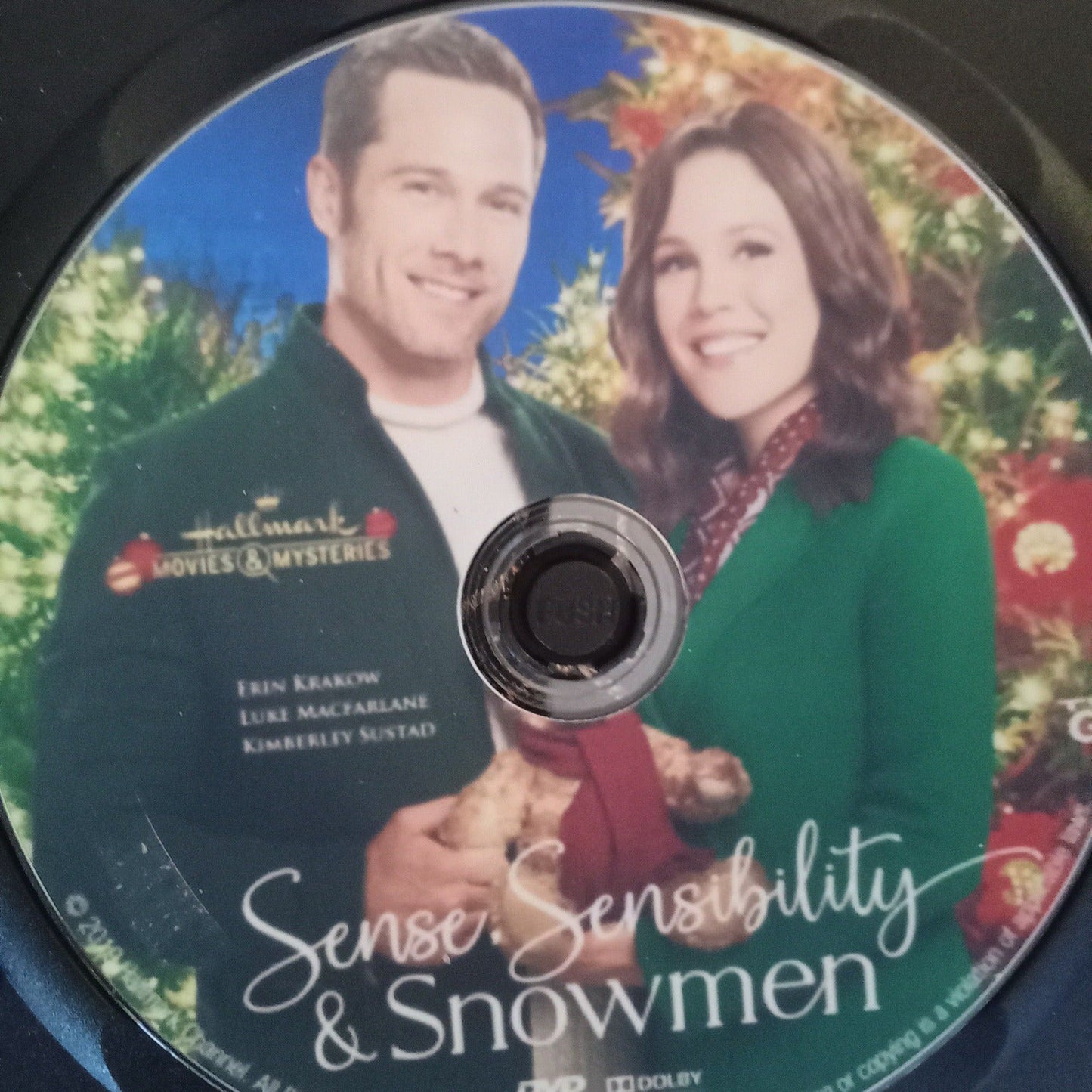 Sense. Sensibility and Snowmen (2019) DVD with Erin Krakow