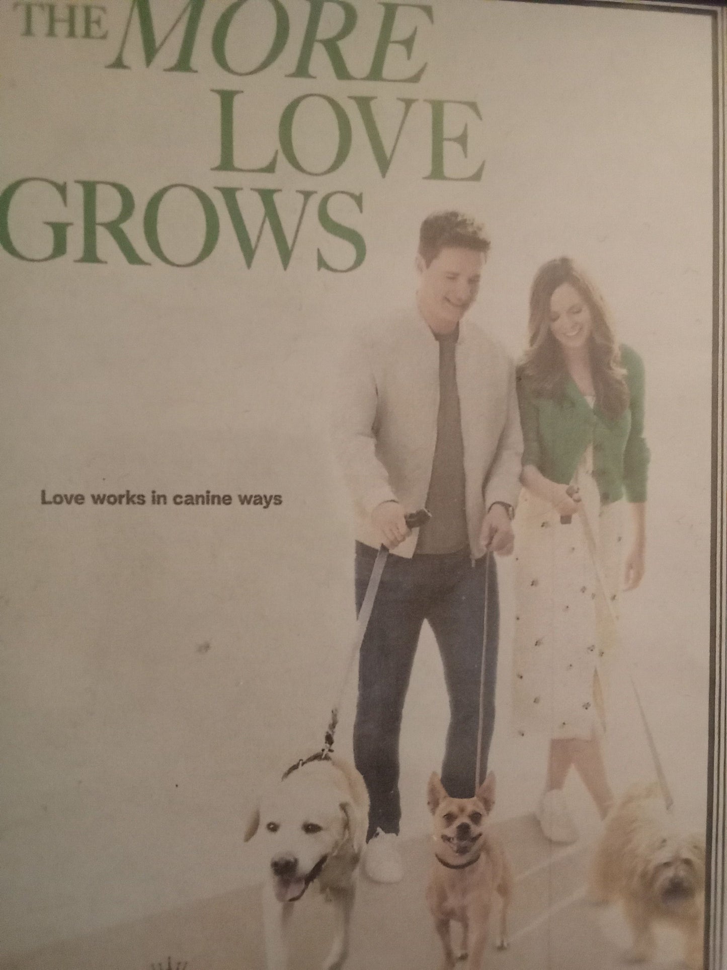 The More Love Grows (2023) DVD with Rachel Boston & Warren Christie in a DVD case with the artwork