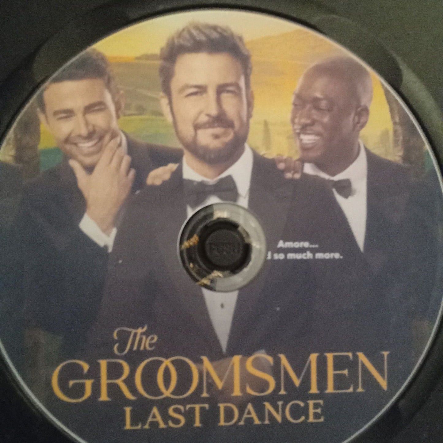 The Groomsmen Last Dance (2024) DVD with Tyler Hynes